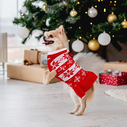 2-Pack Dog Christmas Sweater Dress - Warm Knit Pullover with Snowflakes and Floral Design for Winter (Size M)
