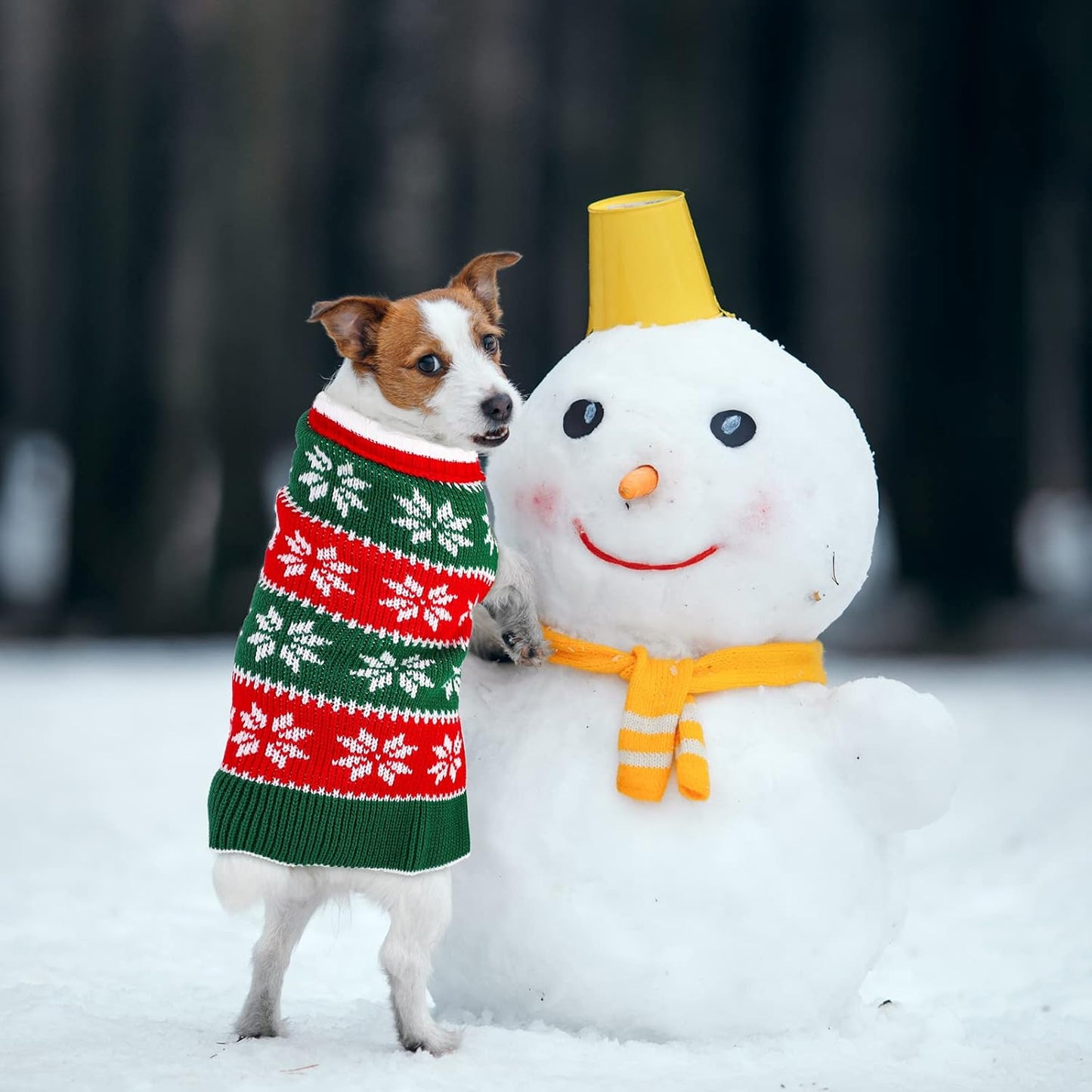 2-Pack Dog Christmas Sweater Dress - Warm Knit Pullover with Snowflakes and Floral Design for Winter (Size M)