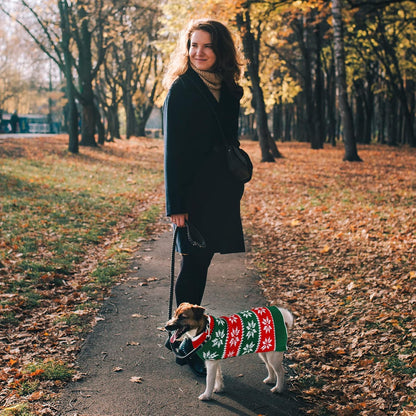 2-Pack Dog Christmas Sweater Dress - Warm Knit Pullover with Snowflakes and Floral Design for Winter (Size M)