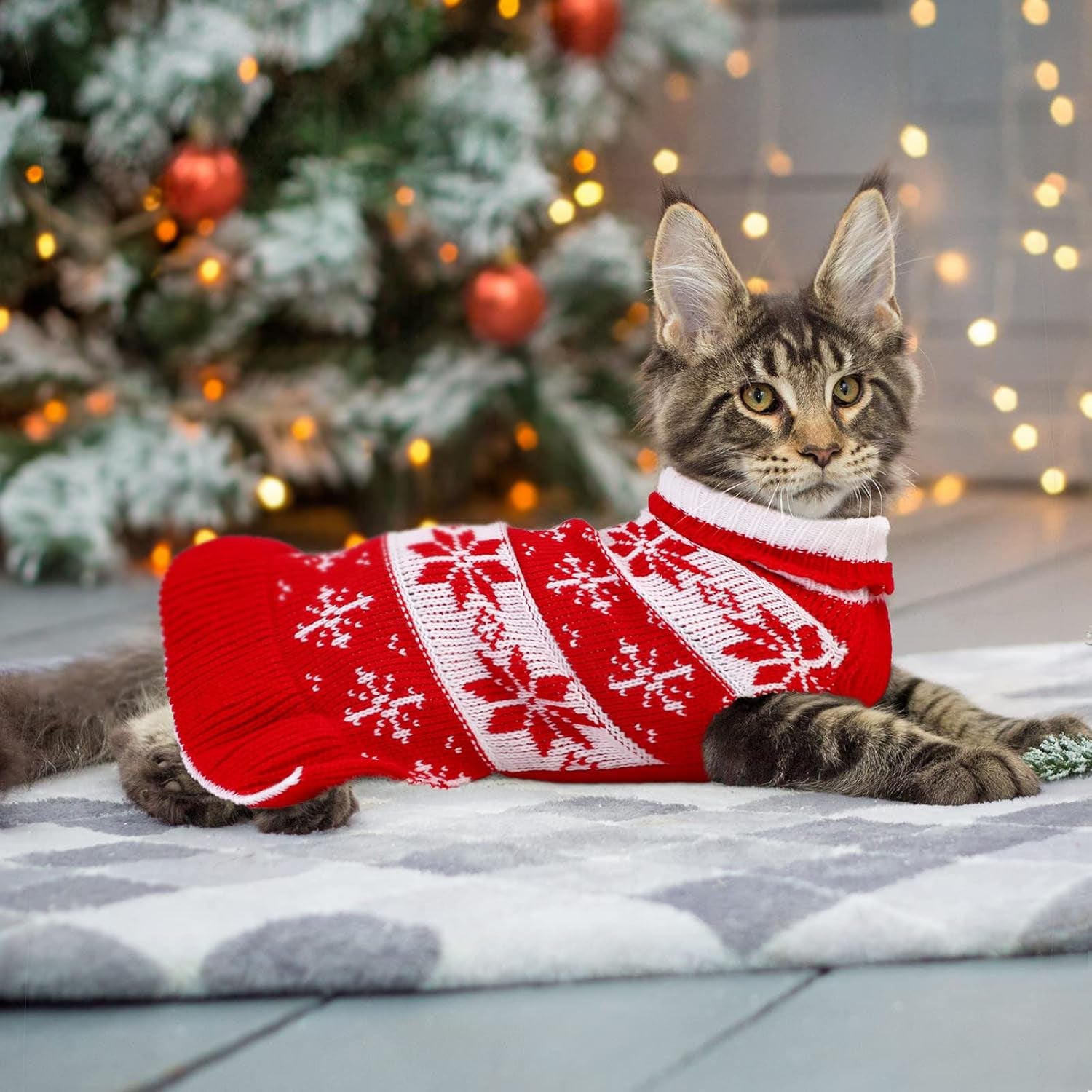 2-Pack Dog Christmas Sweater Dress - Warm Knit Pullover with Snowflakes and Floral Design for Winter (Size M)